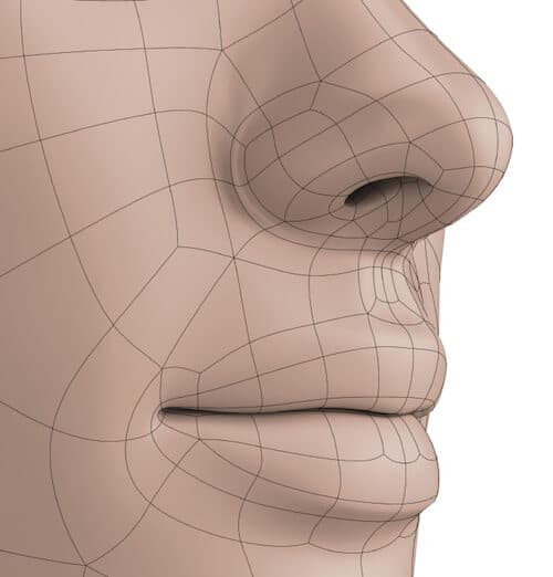 Nose Facts: How well do you know your nose?
